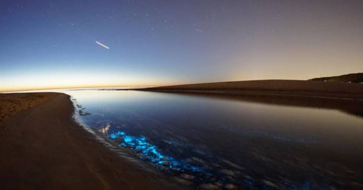 Strandbezoekers Vergapen Zich Aan Magische Blauwe Gloed In Zee Binnenland Ad Nl