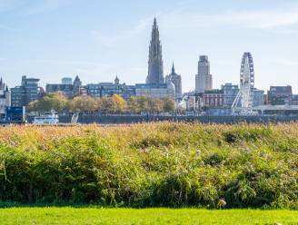 Antwerps stadsbestuur legt nieuw ruimteplan voor aan gemeenteraad