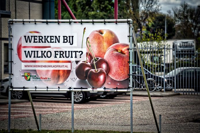 Wilko Fruit in Breda probeert met een spandoek personeel te werven.