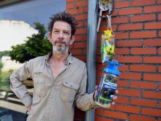 Veehouder Riskeert 250 000 Euro Boete Na Bijbelse Vliegenplaag Die Huis Chris Dusauchoit Teistert Foto Hln Be