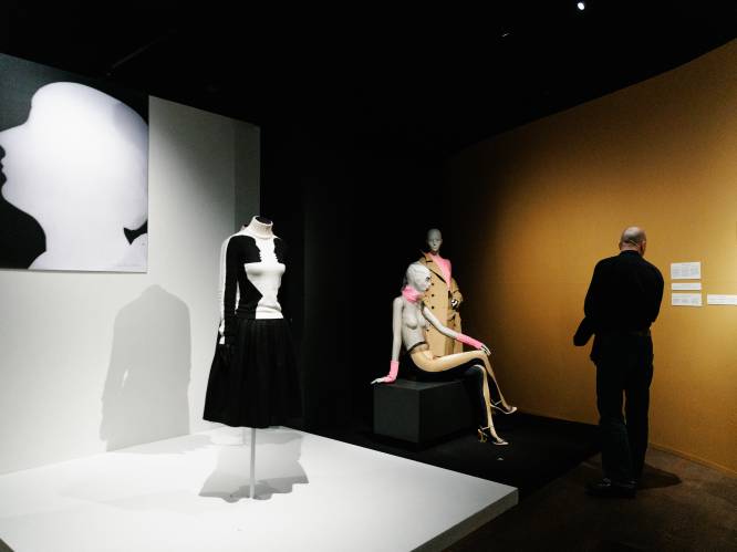Negentien Antwerpse musea openen zaterdagavond de deuren voor Museumnacht