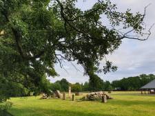 Groen moet je doen: bezoek dit weekend een natuurmarkt in Helmond