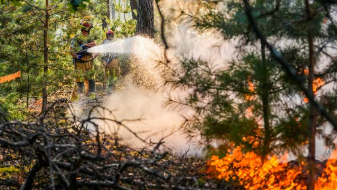Brandweer blust zeer grote heidebrand en kleiner vuur in bosgebied bij Waalre
