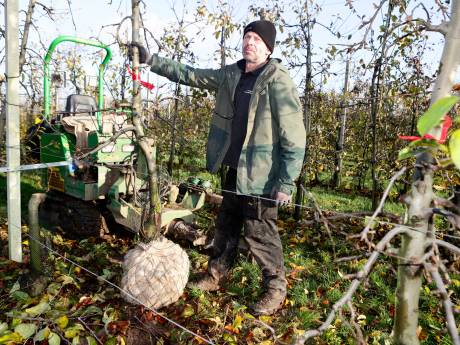 Koen en Johan redden fruitbomen van de brandstapel (en daar kun jij veel lol aan hebben) 