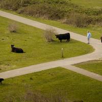 ‘Volstrekt onverantwoord’: Vlaamse natuurorganisaties schieten met scherp op minister Brouns (cd&v)