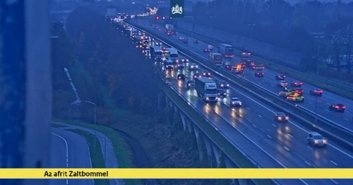 Ongeval op de A2 bij de Martinus Nijhoffbrug zorgt voor vertraging richting Utrecht.