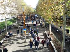 Mijlpaal: Tilburg University heeft meer dan 20.000 studenten