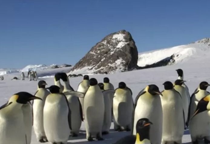 Een archiefbeeld van Antarctica.