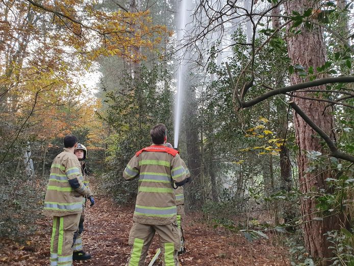 Zondagmiddag probeerde de brandweer hem met een waterstraal uit de boom te krijgen. Tevergeefs.