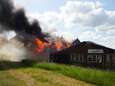 Brandweer heeft vlammenzee in Hasselt onder controle, geen asbest vrijgekomen