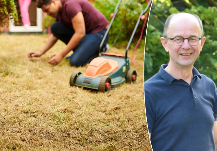 Groenexpert Marc Verachtert legt uit hoe je je tuin nu al kan beschermen tegen droogte.