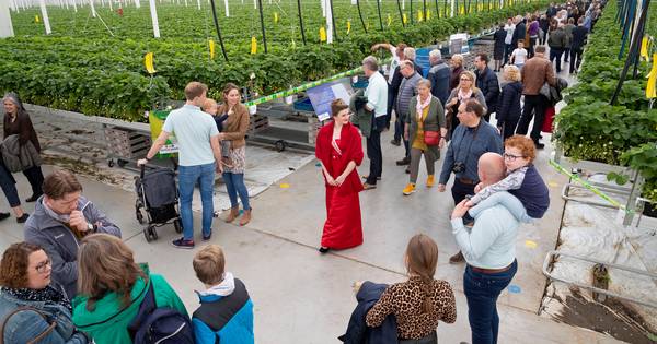 Dringen bij Kom in de Kas in Zuilichem: meer bezoekers dan ooit - BD.nl