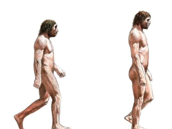 Creativiteitsgenen gaven homo sapiens voordeel op neanderthaler