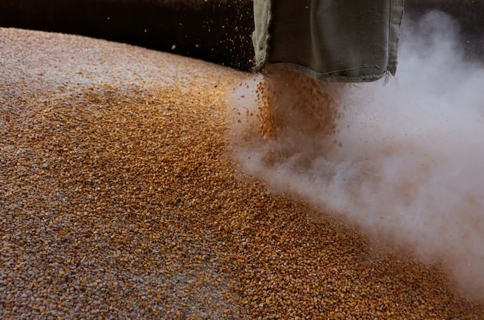 Meer dan 20 miljoen ton graan zit vast in Oekraïne.