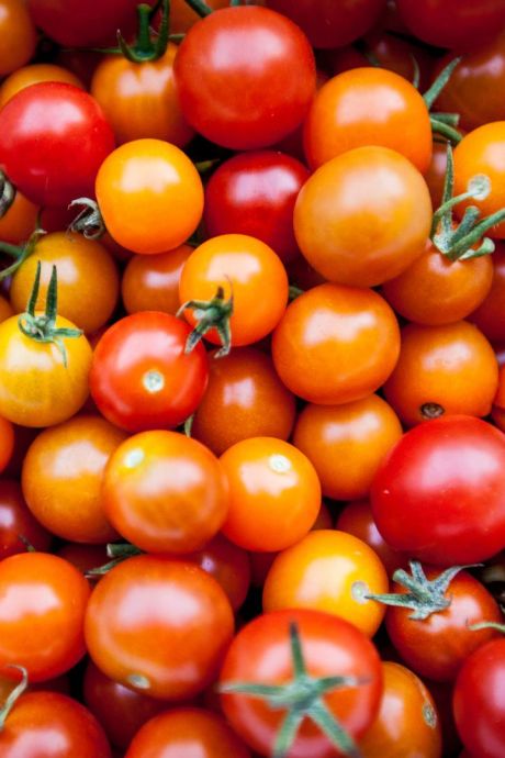 Les 12 fruits et légumes qu'il vaut mieux acheter bio