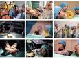Enkele sfeerbeelden van Teddy Bear Hospital