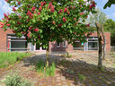Het wooninitiatief Groot Loo komt in het voormalige gebouw van kinderopvang Mikz.