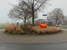 In Soest is het vanaf nu mogelijk om een rotonde te adopteren
