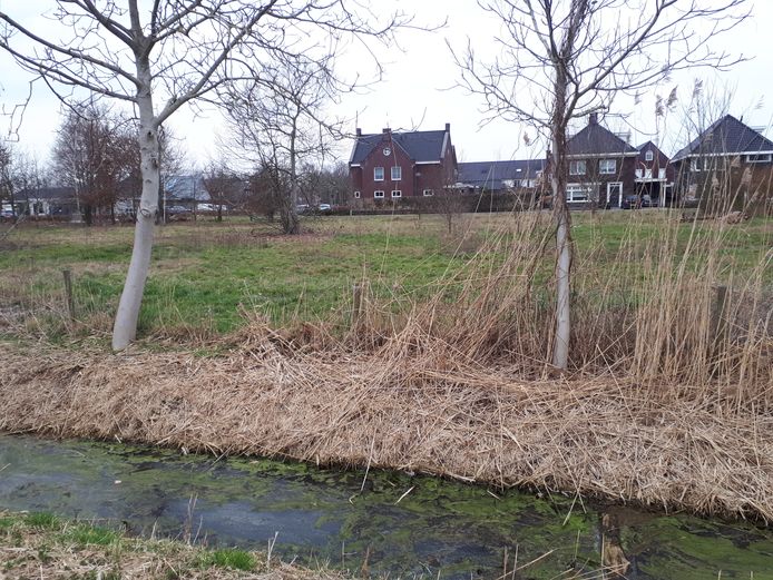 Het nu nog onbebouwde deel tussen de Groenstraat en Den Herd in Geffen.