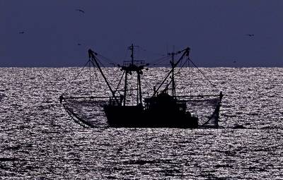 Tweede Kamer eist verbod op visserij achter Haringvlietsluizen