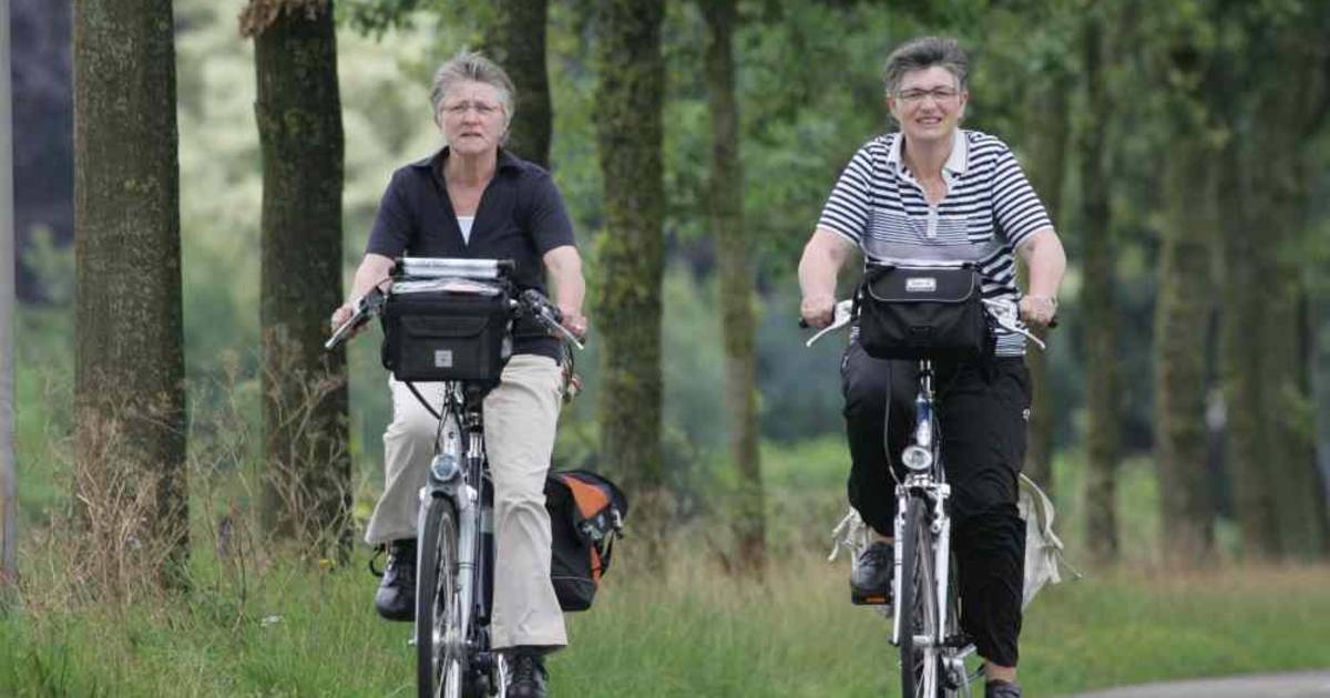 Met mopshond achterop door Lemele
