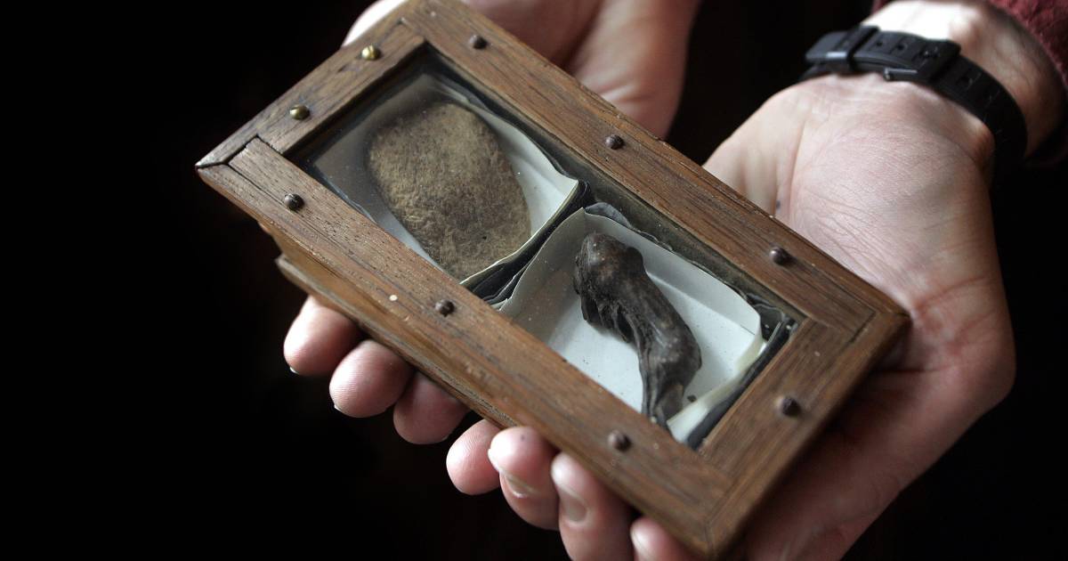 Zijn Deze Afgehakte Vinger En Tong Echt Van De Gebroeders De Witt Binnenkort Weten We Het Dordrecht Bndestem Nl