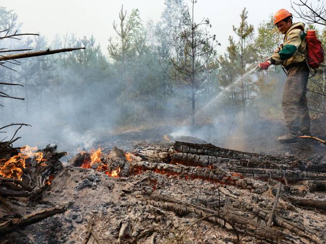 Bosbranden veroorzaken "moeilijke situatie" in delen van Rusland volgens Poetin