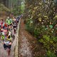 'Trailrunning geeft hardlopen weer nieuw elan'