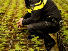 Politie vindt 136 hennepplanten in Vlissingen