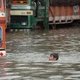 Al 392 doden na moessonregens in Oost-India
