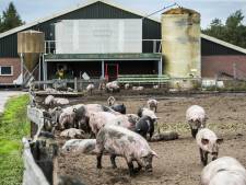 Landbouwsector zwaar onder druk: de boeren hebben het gedaan