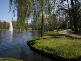 Stad zoekt vrijwilligers die bankjes willen pimpen voor stadswandeling ‘Genk op Gang’