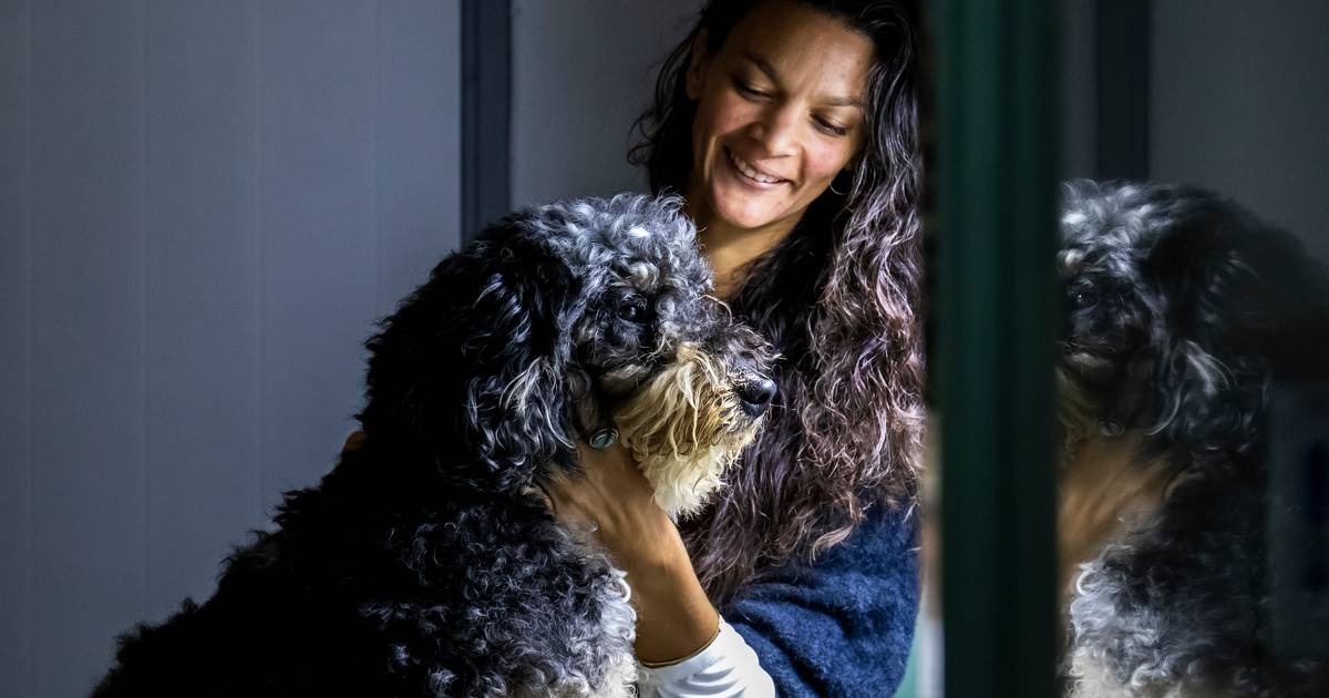 Advies Holistisch Dierenarts Hélène: 'Geef Vers,Rauw Vlees, Dat Hoort Bij  Hond En Kat' | Utrecht | Ad.Nl