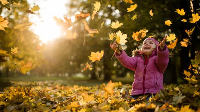 Mooi weer vandaag: zonnige en droge herfstdag met temperaturen tot 11 graden
