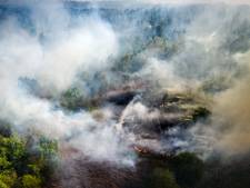 Heel Herkenbosch ontruimd vanwege grote natuurbrand