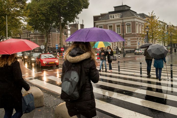 Fietsers en ook voetgangers hebben voorrang op het zebrapad op de kruising Willemstraat/Academiesingel. Toch gebeuren er ongelukken. Volgens de Fietsersbond omdat automobilisten niet in de gaten hebben hoe de voorrangssituatie in elkaar steekt op die locatie.