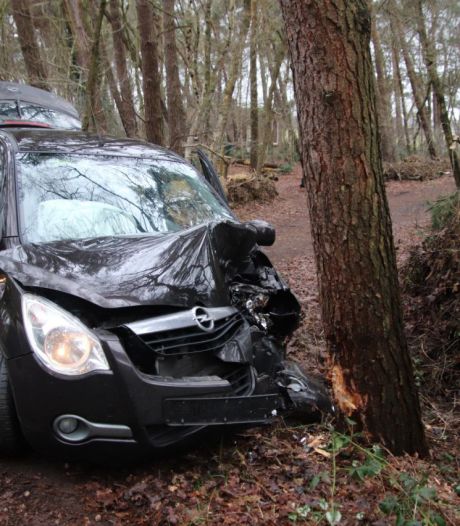 Vrouw gewond bij botsing tegen boom in Heino