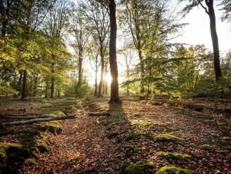 Dreven in Drongengoedbos in Aalter krijgen officieel een naam