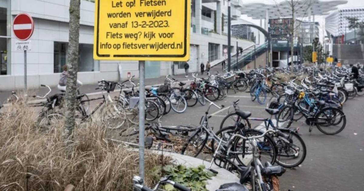 gebied spelen heel Let op: op deze populaire plek in Utrecht mag je je fiets niet meer  neerzetten (anders ben je hem kwijt) | Utrecht-stad | AD.nl