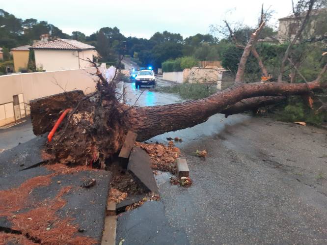 KIJK. Tornado veroorzaakt enorme schade in Frans dorpje: “Zoiets heb ik nog nooit gezien”