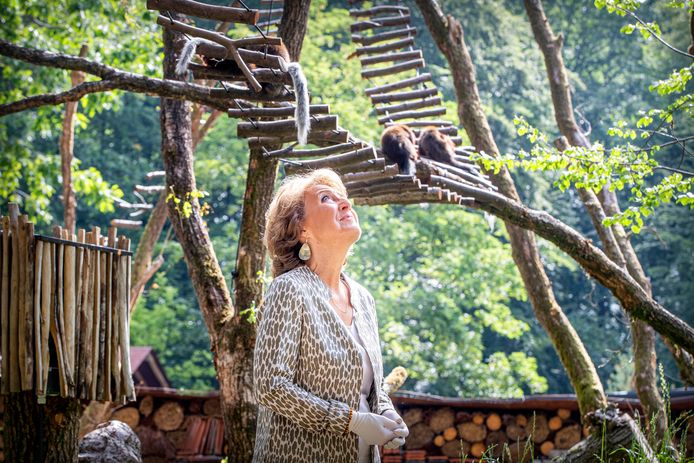 Prinses Margriet opende recent nog een nieuw gebied bij Apenheul. Door de coronacrisis kampt het Apeldoornse dierenpark met een fors financieel probleem.