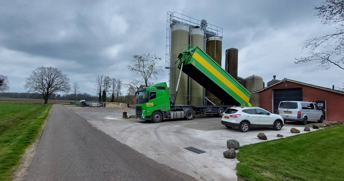 Dinkelland hield onterecht boer tegen die varkensbedrijf in Weerselo wilde, varkenshouder krijgt gel