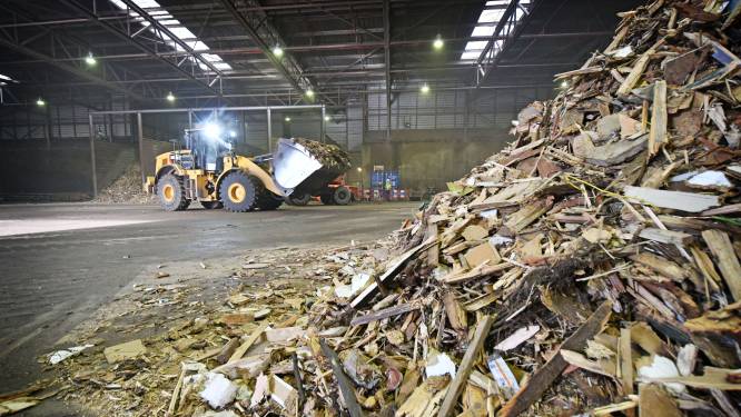 Actie tegen opening ‘centrale van 76 miljoen’ voor biomassa in Arnhem