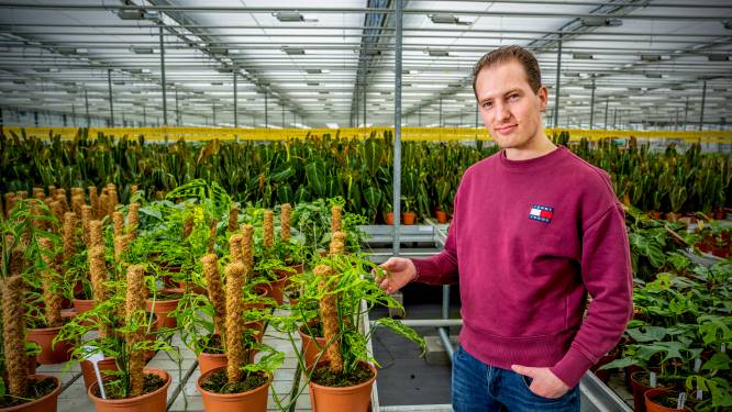 Jesse verkoopt kamerplanten voor 1000 euro: 'Verwacht dat ze alle twintig in één dag zijn verkocht’