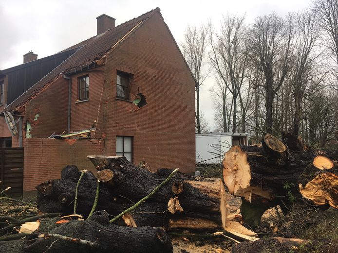 De omgewaaide boom sloeg een gat in de zijgevel van de woning in Wakken.