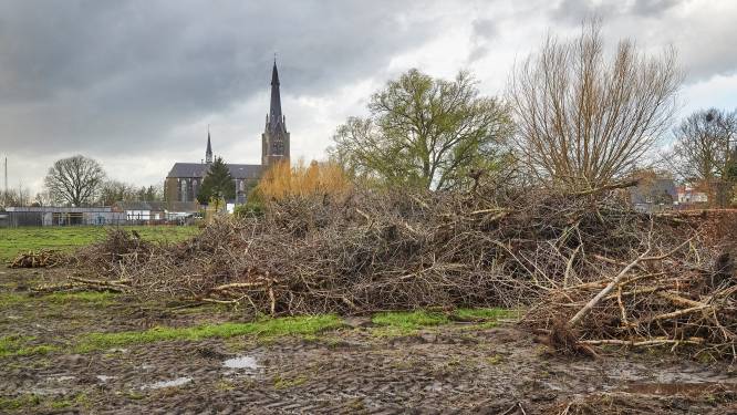 En wég zijn de kersenbomen, waar zo vaak om geknokt werd: ‘Het is niet meer aan mij’