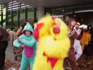 Acht als dieren verklede actievoerders opgepakt bij protest tegen pesticiden