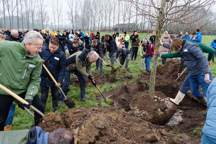 De honderdduizendste boom aangeplant in Savendonk bij Liempde.