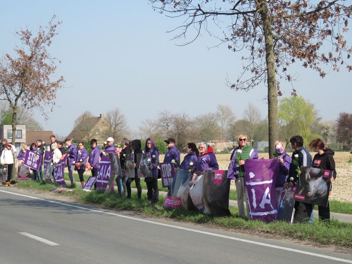 Protestactie  aan Tielts slachthuis