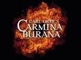 Carmina Burana € 10,- voordeel per ticket